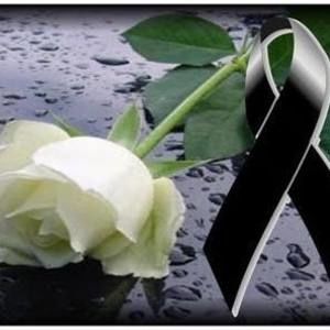 Meet your Posher, Herbert